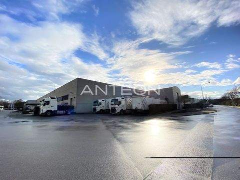 Langenfeld (Rheinland) Halle, Langenfeld (Rheinland) Hallenfläche