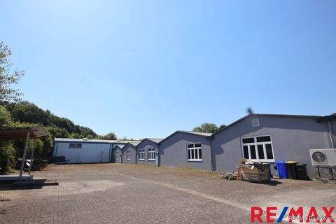 Büren Halle, Büren Hallenfläche