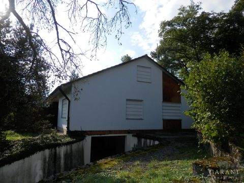 Braunsbach Häuser, Braunsbach Haus kaufen