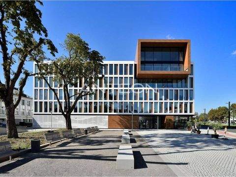 Düsseldorf Büros, Büroräume, Büroflächen 