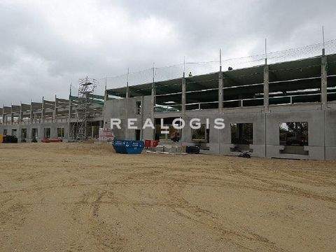 Groß-Rohrheim Halle, Groß-Rohrheim Hallenfläche