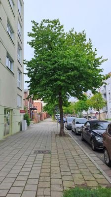 Foto_2.jpg