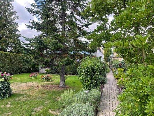 Platz für EFH Neubau