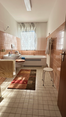 Badezimmer Hauptwohnung