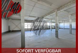 INFOS UNTER: 06171-586000