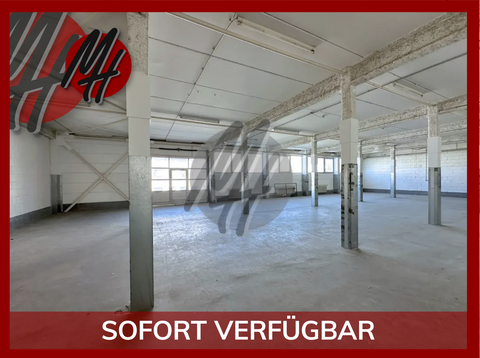 Schwalbach Halle, Schwalbach Hallenfläche