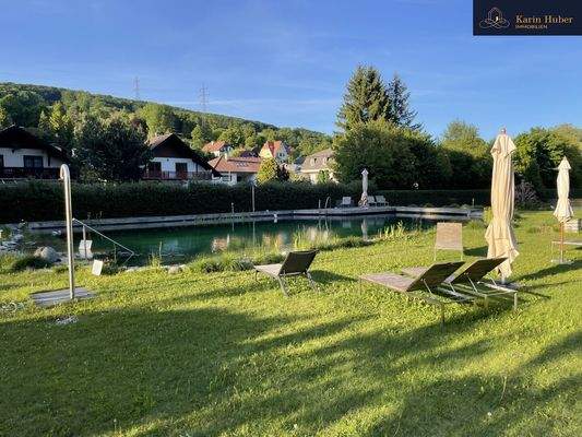 Bild 15