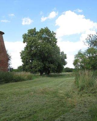 Seitlicher Grundstücksteil