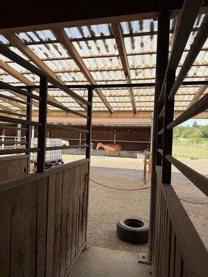 Offenstall 11 Pferde