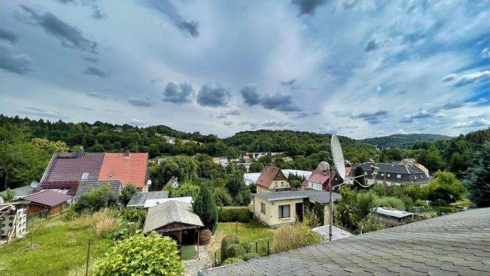 Blick Garten mit Gartenhaus
