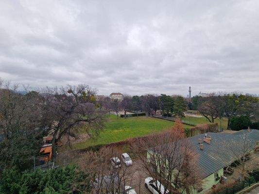 Ausblick Park Winter