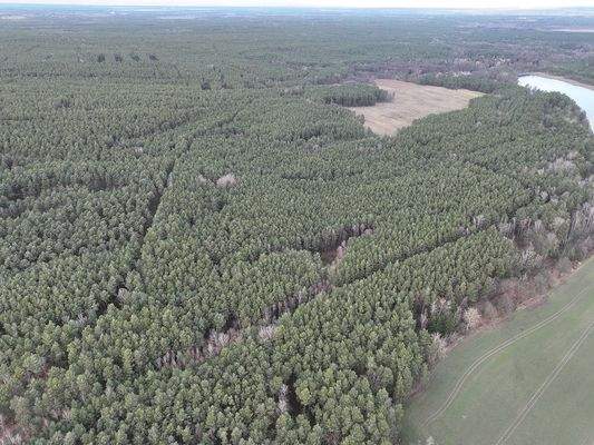 Blick Richtung Norden 