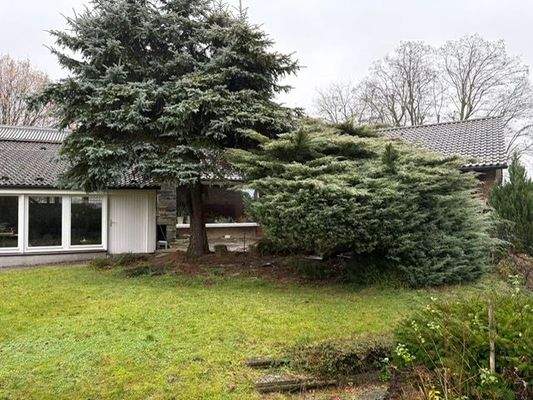 PHOTO-2025-12-01-08-58-59 (1)