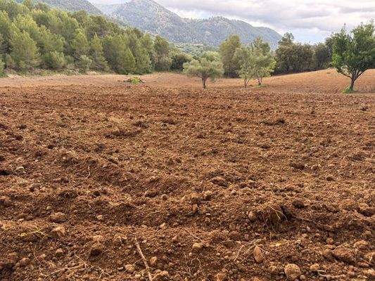 PHOTO-2025-05-07-20-16-34 (2)