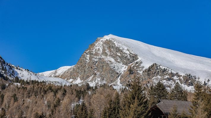 KITZIMMO-exklusives Almchalet 1 in Toplage kaufen - Immobilien Falkertsee Kärnten.