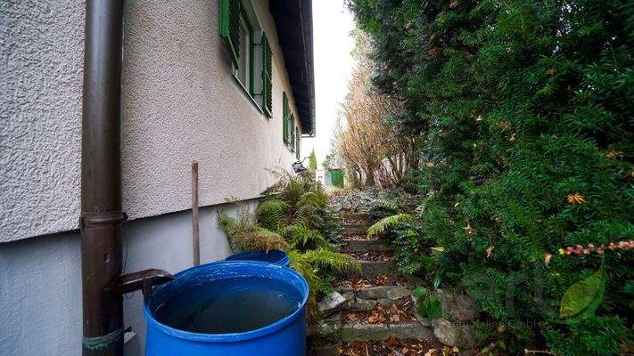 Zugang Eingangsbereich