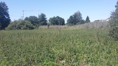 Aichen Bauernhöfe, Landwirtschaft, Aichen Forstwirtschaft