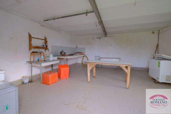 rif 1504(Copy69).jpg