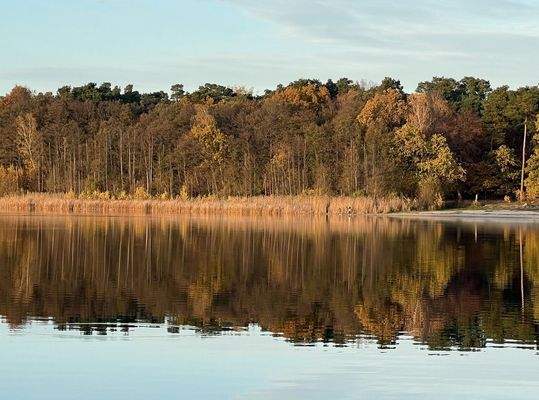 Gorinsee in der Umgebung