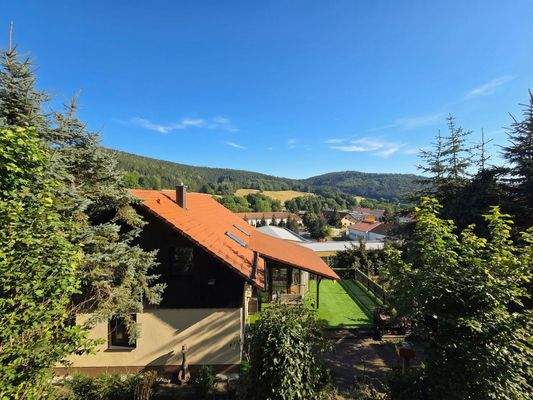 Blick in den Thüringer Wald