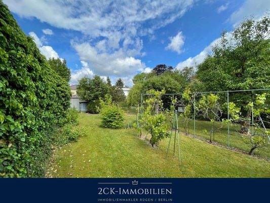 Albrecht-Dürer 22 020