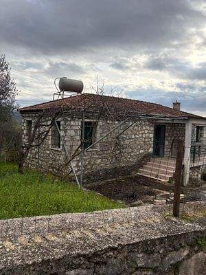 WhatsApp Image 2026-01-05 at 11.42.30 (1).jpeg