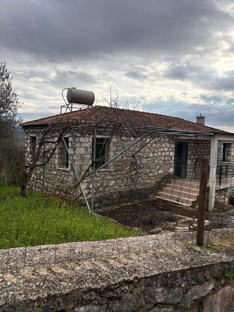 Pllake Häuser, Pllake Haus kaufen