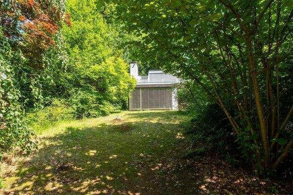 Ein Stück unberührte Natur mitten in Hamburg