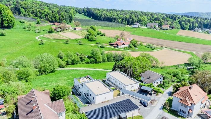 DJI_0081