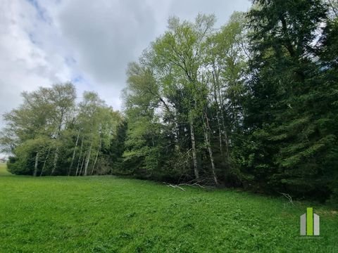 Obertrum am See Grundstücke, Obertrum am See Grundstück kaufen