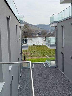 Rheinblick inklusive.jpeg