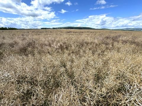 Vettweiß Bauernhöfe, Landwirtschaft, Vettweiß Forstwirtschaft