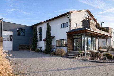 Backnang Halle, Backnang Hallenfläche