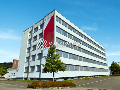 Gottmadingen Büros, Büroräume, Büroflächen 