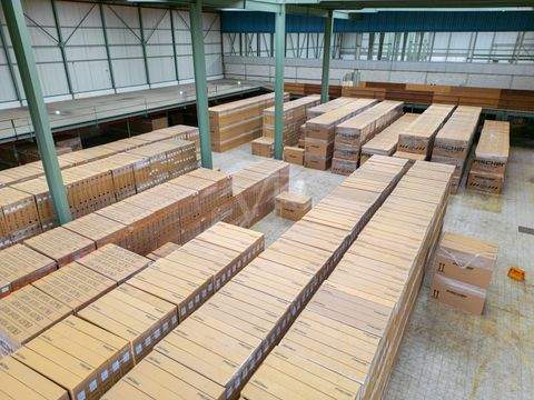 Papenburg Halle, Papenburg Hallenfläche