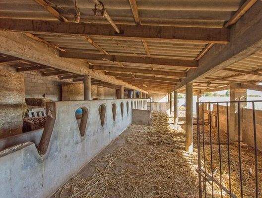 Traditionelle Finca zur Renovierung zum Verkauf in Marratxí, Mallorca 