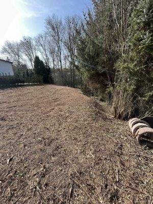 Blick ins Grundstück