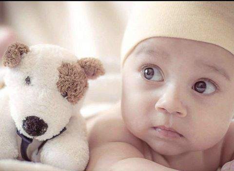 Schneckengrün Häuser, Schneckengrün Haus kaufen