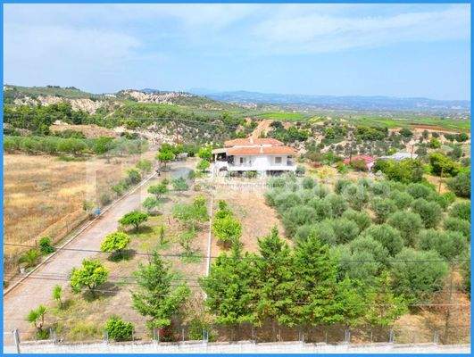 img_b894c18f-149e-4e41-ad97-d3527a1c811d