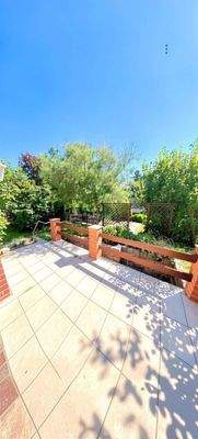 Gartengrundstück Papendorf - (KI generiert)