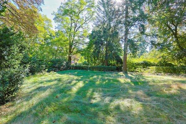 Baugrundstück mit Altbestand 