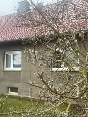 Blick vom Vorgarten