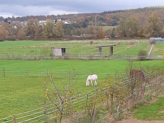 Ausblick Wohnküche