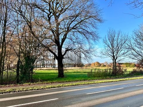 Bad Zwischenahn Grundstücke, Bad Zwischenahn Grundstück kaufen