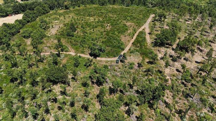 Grundstück 8 ha Panoramablick