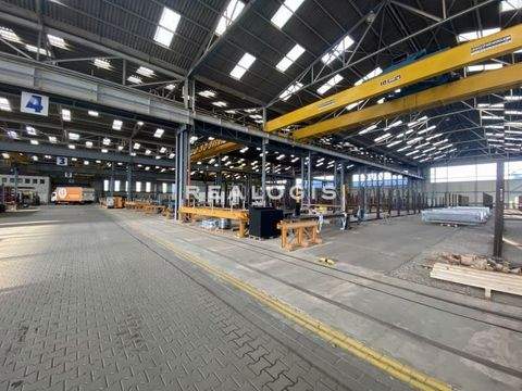 Neuss Halle, Neuss Hallenfläche