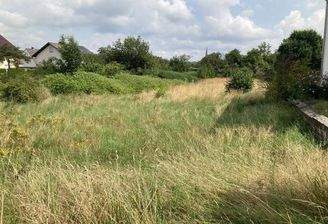 viele Möglichkeiten