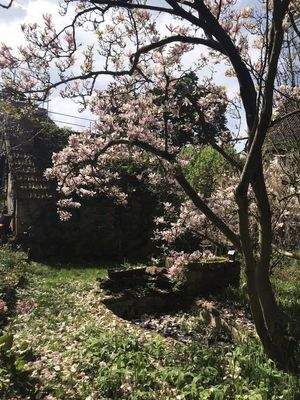 Garten mit gemauerten Grill