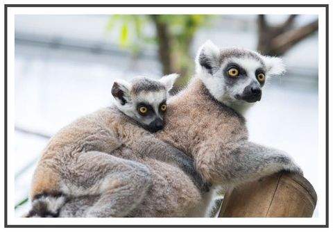 Berlin Wohnungen, Berlin Wohnung mieten
