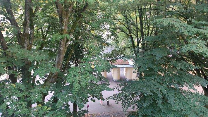 Blick Wohnzimmer auf Straße .jpg